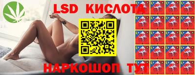 спайс Гагарин