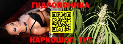 спайс Гагарин