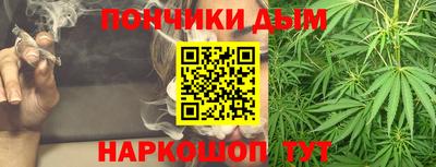 спайс Гагарин