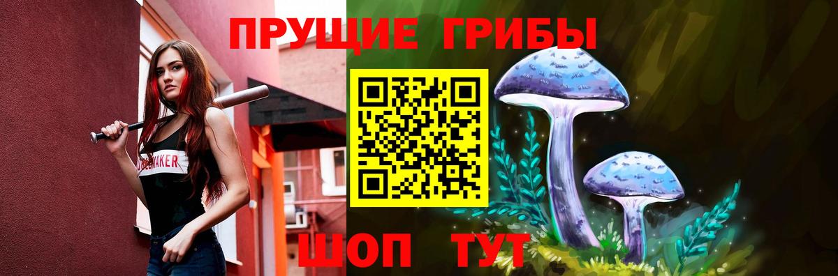 Псилоцибиновые грибы прущие грибы Гусиноозёрск