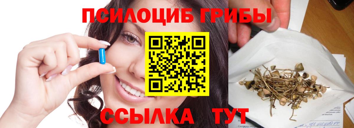 Псилоцибиновые грибы Cubensis  сколько стоит  Галлюциногенные грибы Magic Shrooms  Гусиноозёрск 