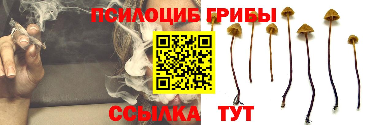 Гусиноозёрск  Галлюциногенные грибы Psilocybe  Псилоцибиновые грибы Psilocybine cubensis  Вход с VPN 